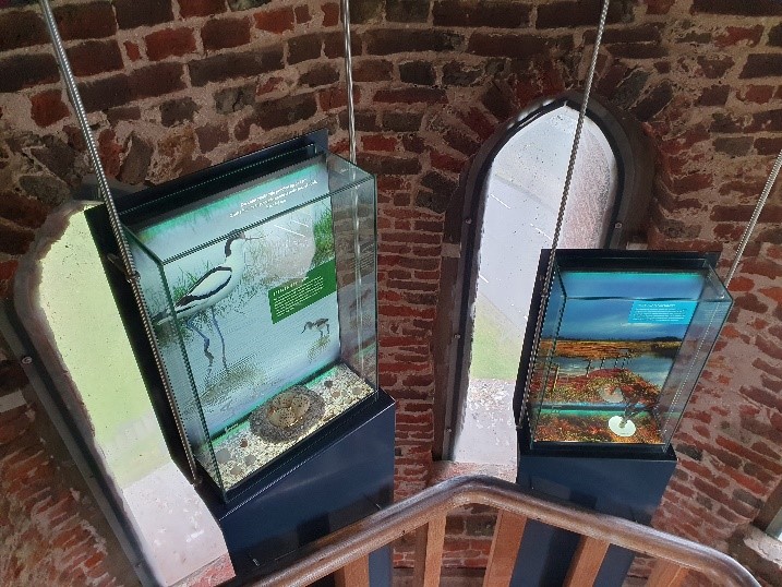 Plompetoren informatie (Ganzenbusexcursie). Foto van Johan Meijer.